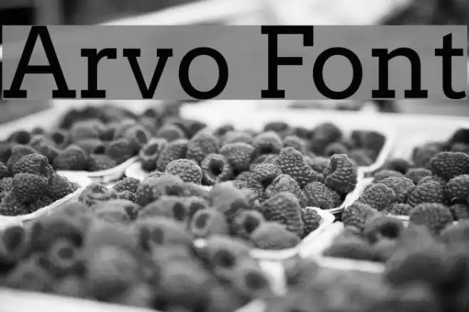 Arvo Font examples
