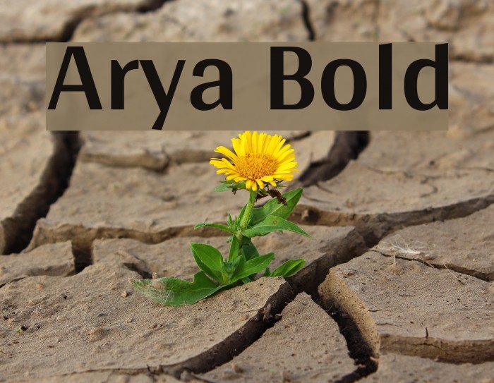 Arya Bold Font examples