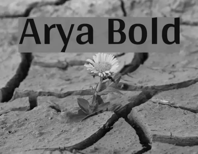 Arya Bold Example 3