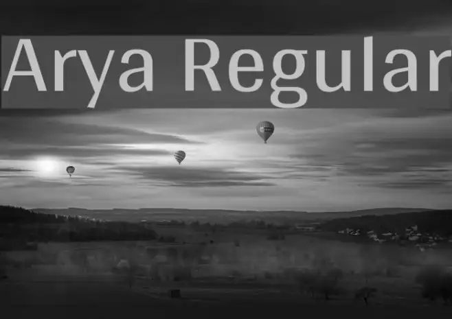 Arya Regular Example 2