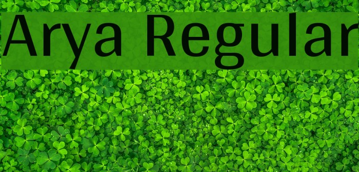 Arya Regular Font examples