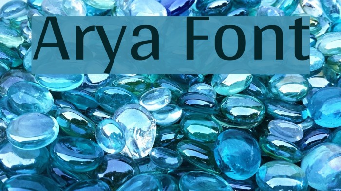 Arya Font examples