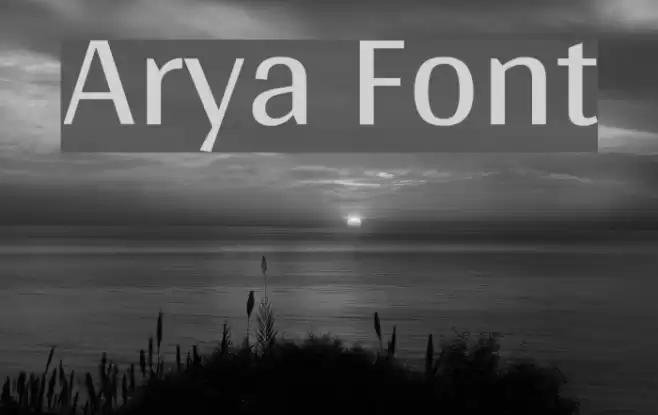 Arya Font examples