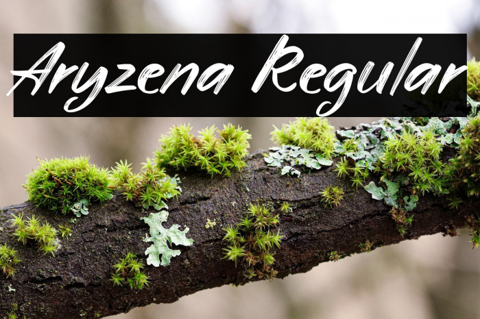 Aryzena Regular Example 1