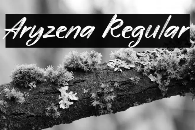 Aryzena Regular Example 1