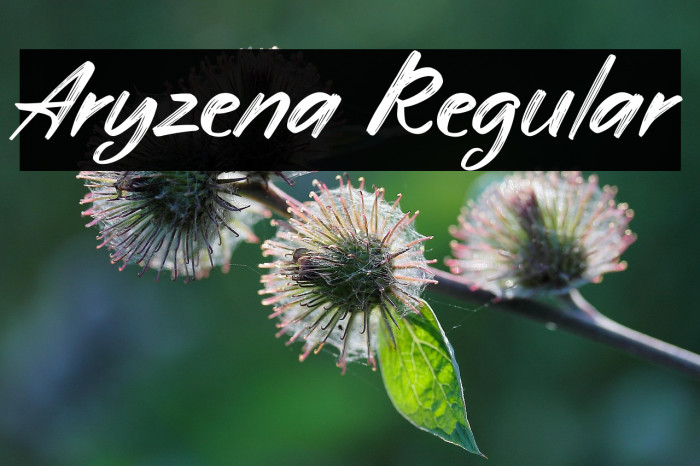 Aryzena Regular Example 3