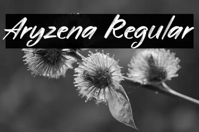 Aryzena Regular Example 3