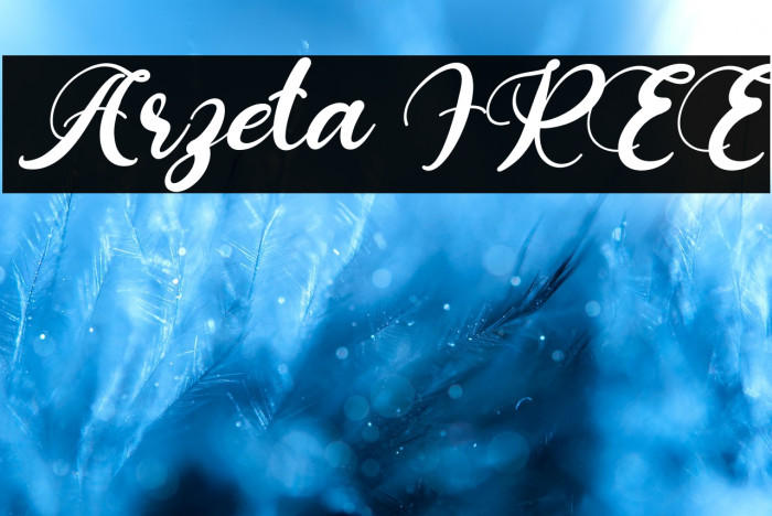 Arzeta FREE Example 1