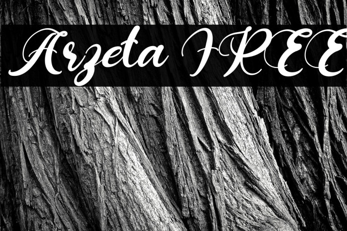 Arzeta FREE Example 2