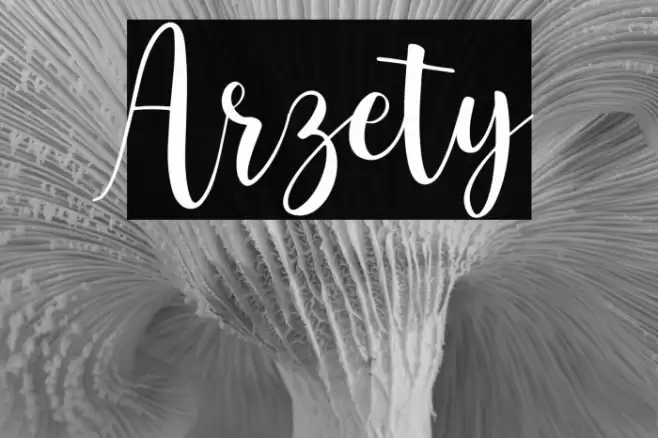 Arzety Font examples