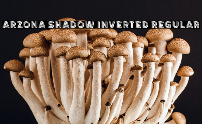 Arzona Shadow Inverted Regular Example 1