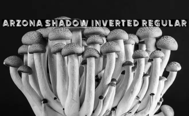 Arzona Shadow Inverted Regular Example 1