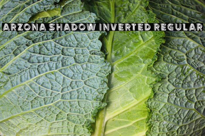 Arzona Shadow Inverted Regular Example 2