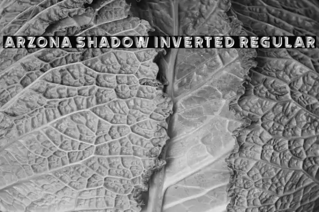 Arzona Shadow Inverted Regular Example 2