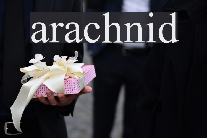 arachnid Font examples