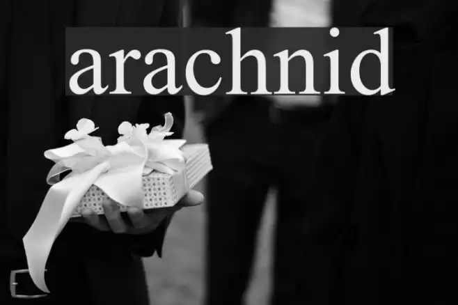 arachnid Font examples