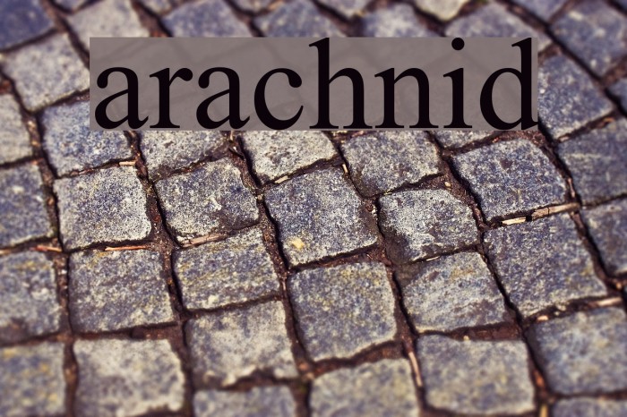 arachnid Font examples