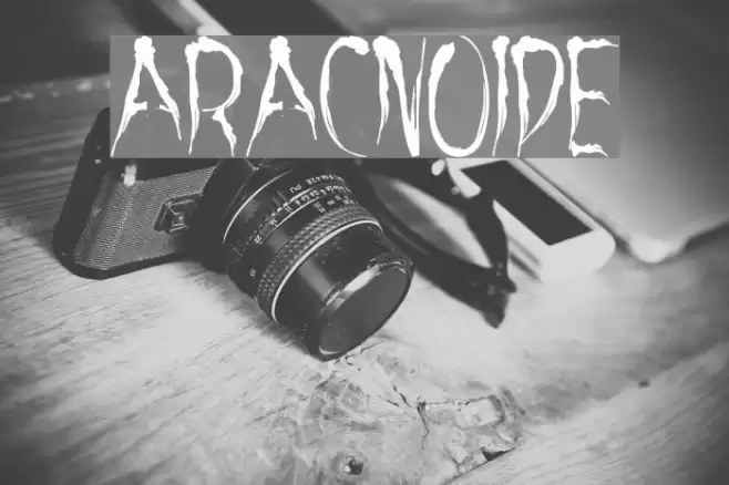 aracnoide Font examples
