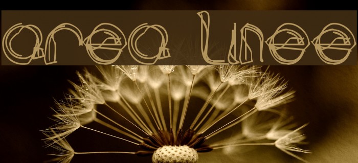area LINEe Font examples