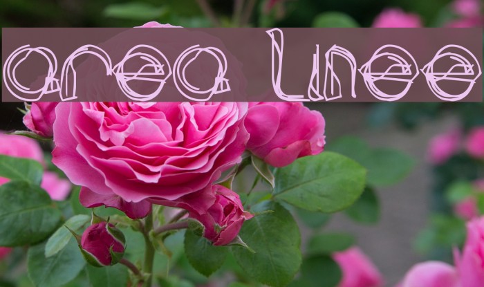 area LINEe Font examples