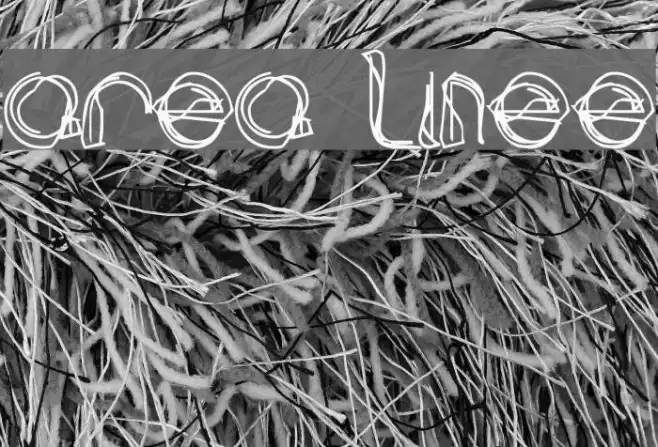 area LINEe Example 3