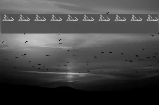 argentinas Font examples