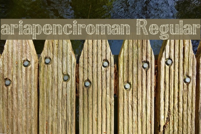 ariapenciroman Regular Example 1