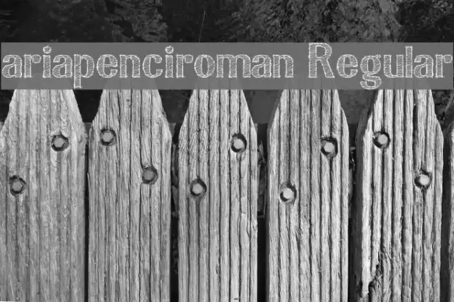 ariapenciroman Regular Font examples