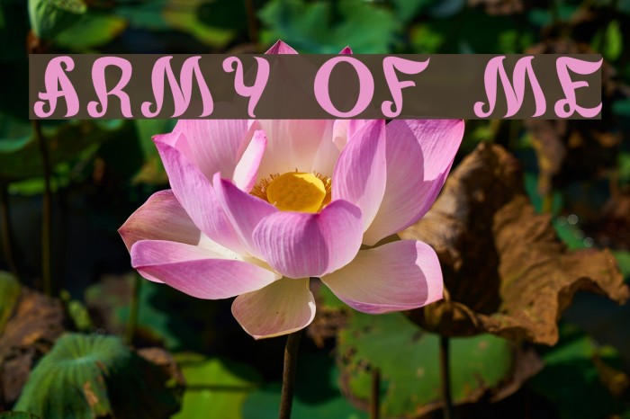 army of me Font examples
