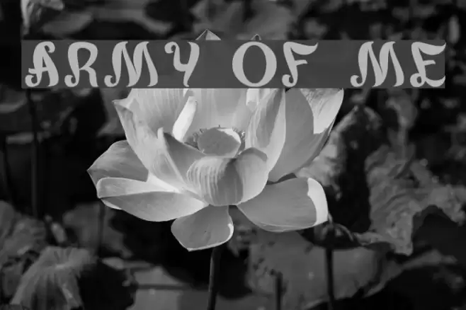 army of me Font examples
