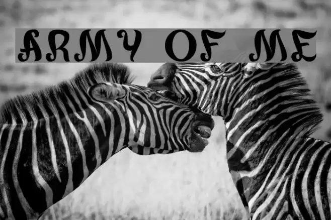 army of me Font examples