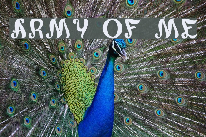 army of me Font examples