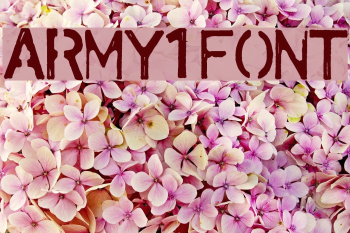 army1 Font examples