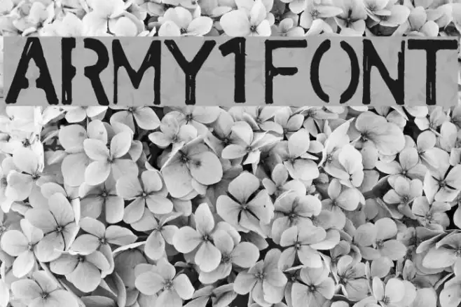 army1 Example 2