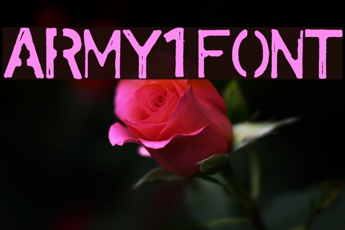 army1 Font examples