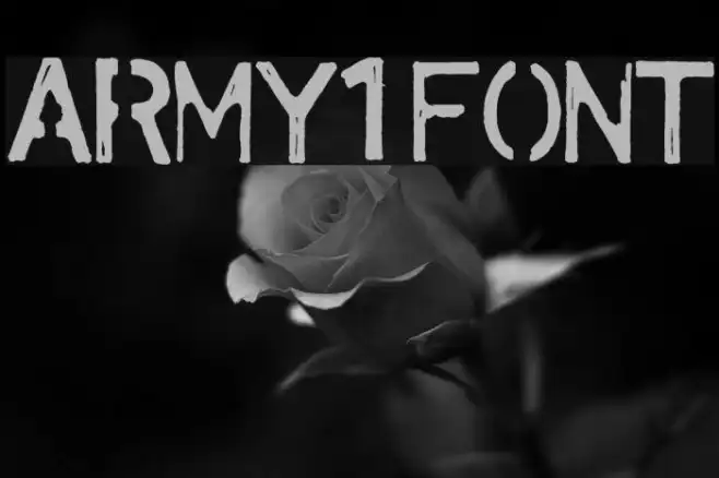 army1 Example 3