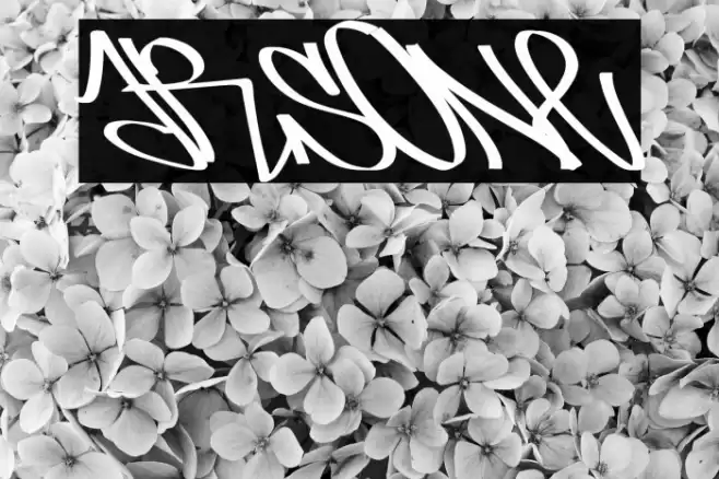 arsone Font examples