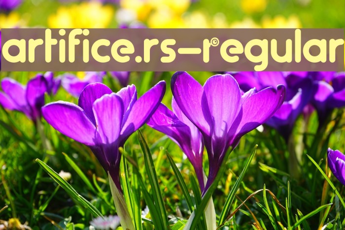 artifice.rs-Regular Example 1