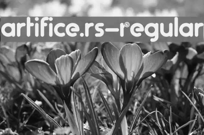artifice.rs-Regular Example 1