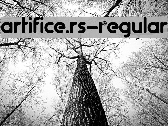 artifice.rs-Regular Example 2