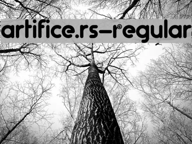 artifice.rs-Regular Example 2