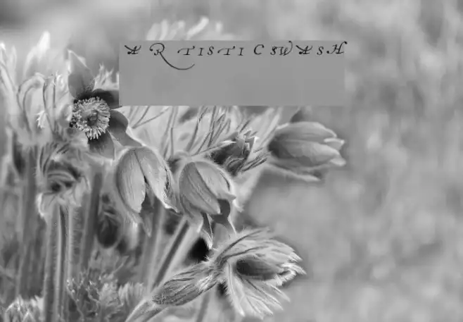 artistic swash Example 3