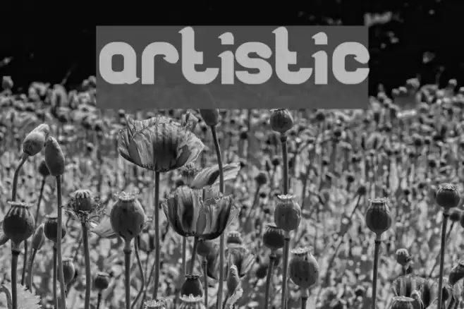 artistic Font examples