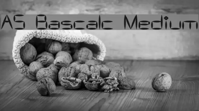AS Bascalc Medium Font examples