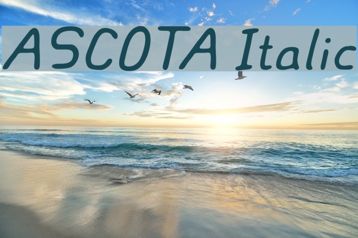 ASCOTA Italic Font examples