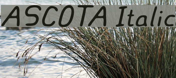ASCOTA Italic Font examples