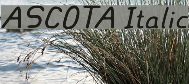 ASCOTA Italic Example 2