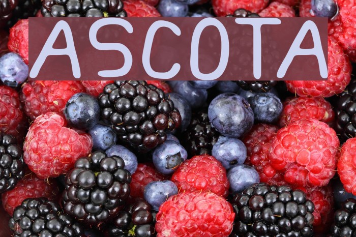 ASCOTA Font examples