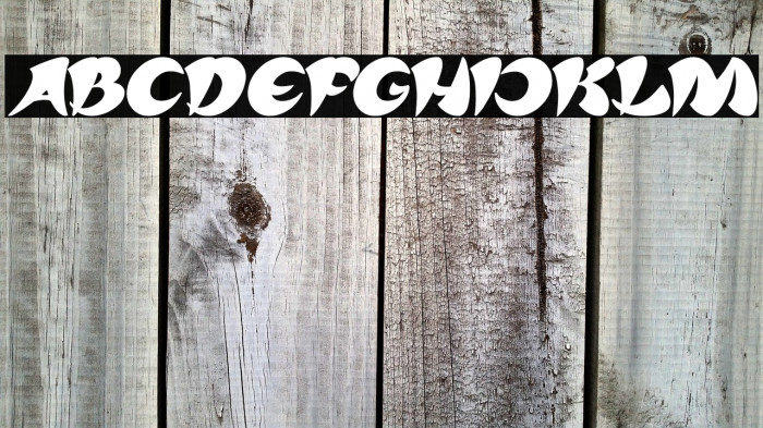 ASIA PACIFIC Bold Italic Example 1