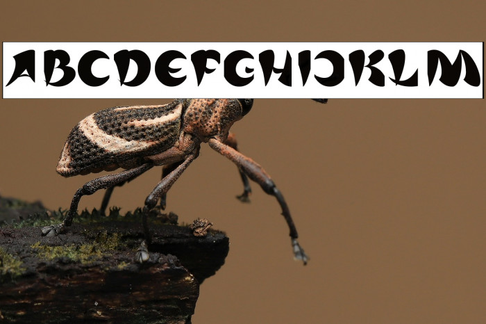 ASIA PACIFIC-Inverse Example 1